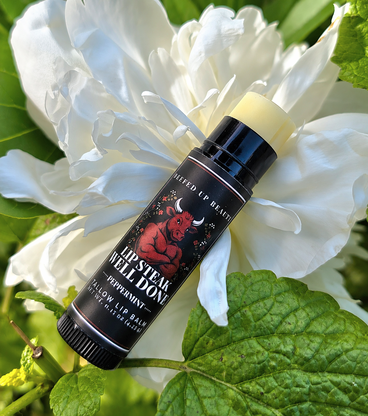 Lip Steak Tallow Lip Balm